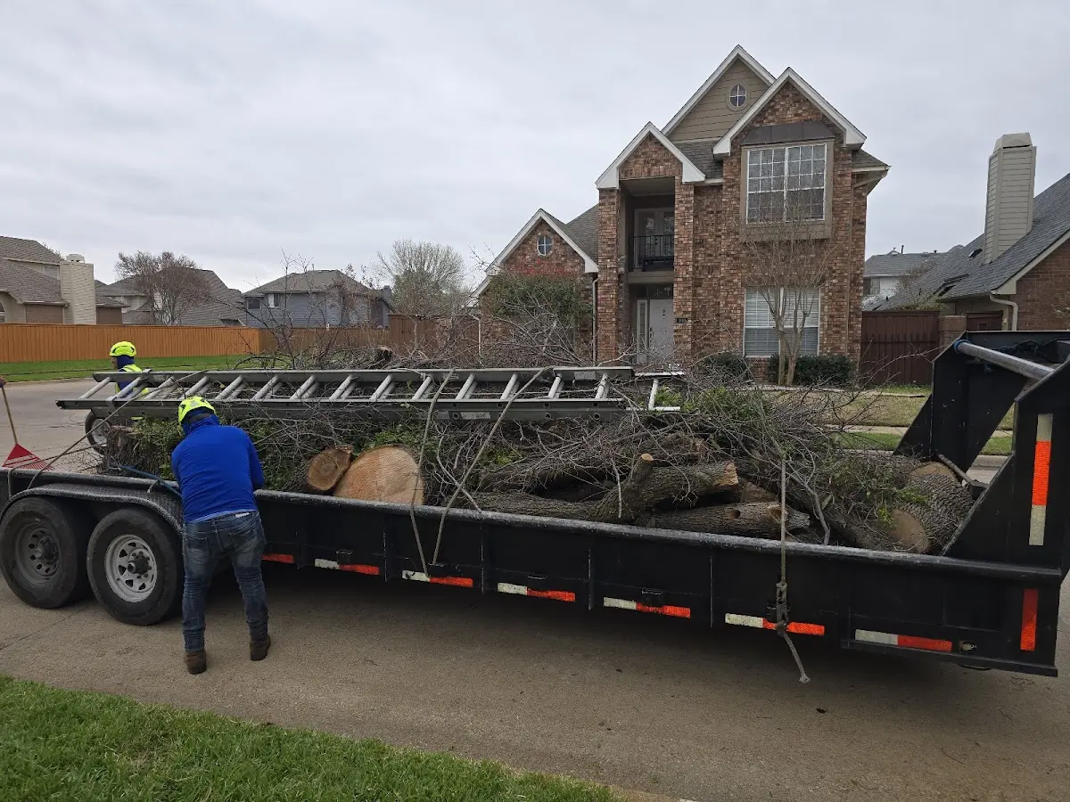 Expert Tree Removal with proper safety equipment in Gloster